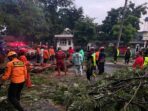 Bencana Longsor di Bogor Setelah Hujan Deras dan Angin Kencang Menumbangkan Pohon