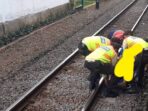 Pria Nekat Mencoba Bunuh Diri dengan Melompat ke Rel saat Commuter Line Masuk Stasiun Depok Lama