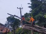 Pohon Kapuk Tumbang Menimpa Rumah Penduduk di Cibungbulang Bogor