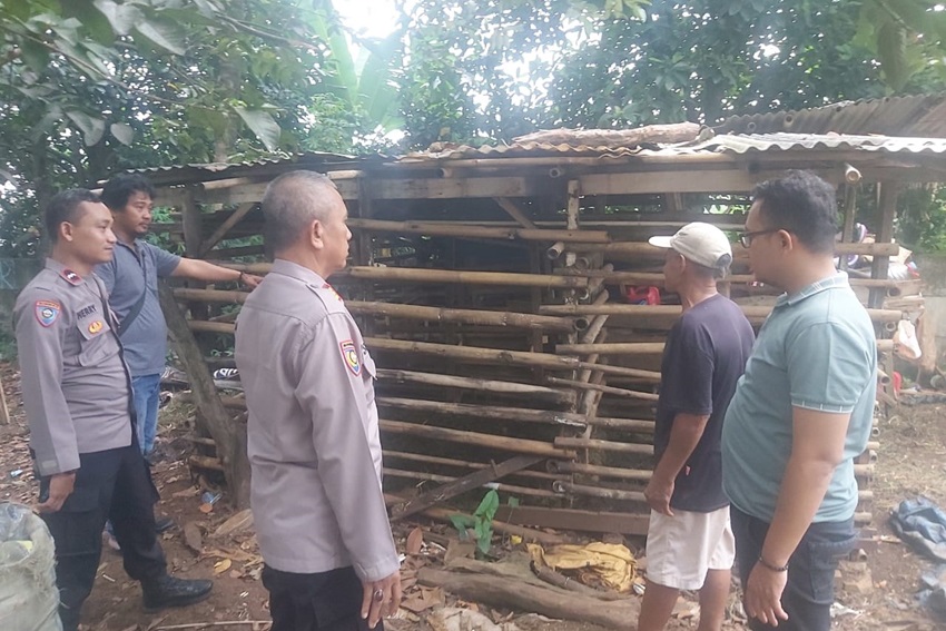 Kambing Pencurian di Sawangan Depok Sisakan Jeroan, Kerugian Rp15 Juta