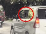 Video Viral: Pengunjung Taman Safari Terlihat Membuka Kaca Mobil di Zona Singa