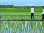 Aktivis Papua Mendorong Penghentian Proyek Satu Juta Hektar Sawah di Merauke