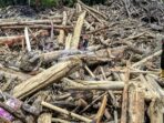 kayu-glondongan-di-banjir-sumatra-utara-1764901553341_169.jpeg